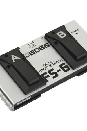 Compra Oggi Stesso Boss FS-6