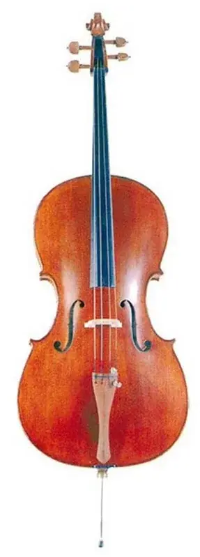 OQAN OC300 VIOLONCELLO 4/4 CON ARCHETTO E CUSTODIA MORBIDA OC-300 Nuovo Popolare
